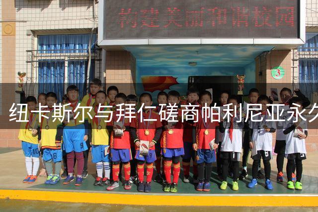 纽卡斯尔与拜仁磋商帕利尼亚永久转会事宜